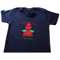 Cute Personalised Boys Red Dragon Applique Embroidered T-Shirt